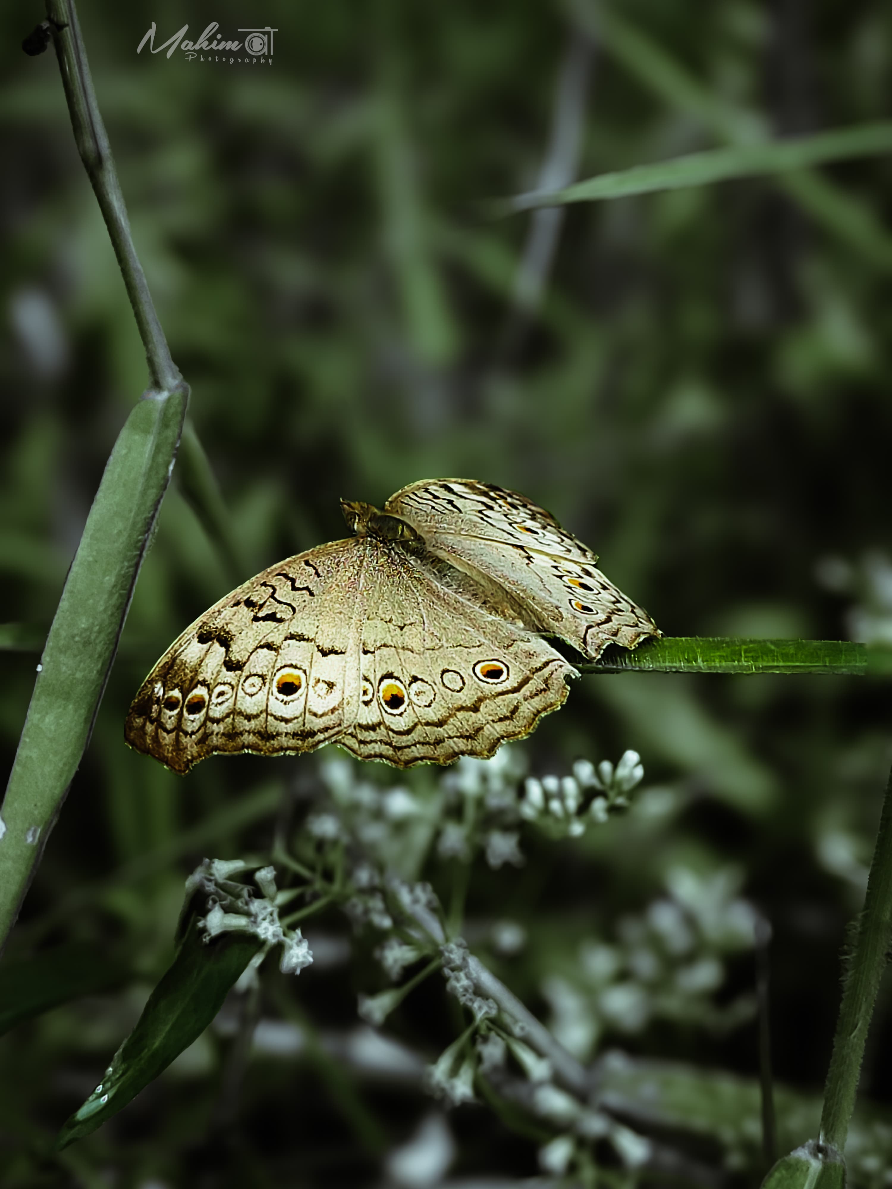 Photography 17